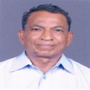Image of Shri. V. S. Patil, Advisor